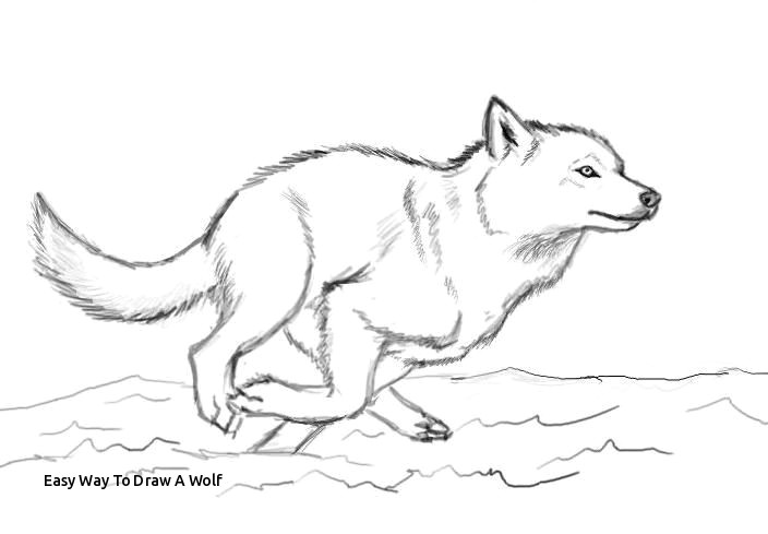 Drawing A Simple Wolf Wonderful Idea for Drawing Prslide Com Part 186