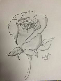 Drawing A Single Rose are You Looking for A Tutorial On How to Draw A Rose Look No