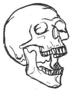 Drawing A Skull Easy 324 Best Skeleton Drawing Images Drawing Techniques Drawing