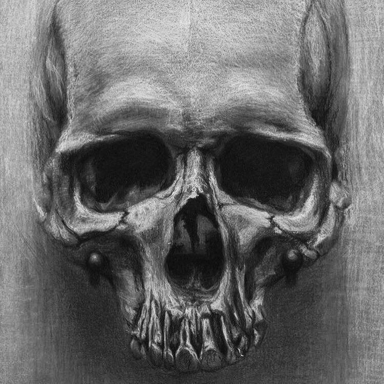 Drawing A Skull Face Skulls Skull Art Skullart Horror Halloween Goth Skeleton