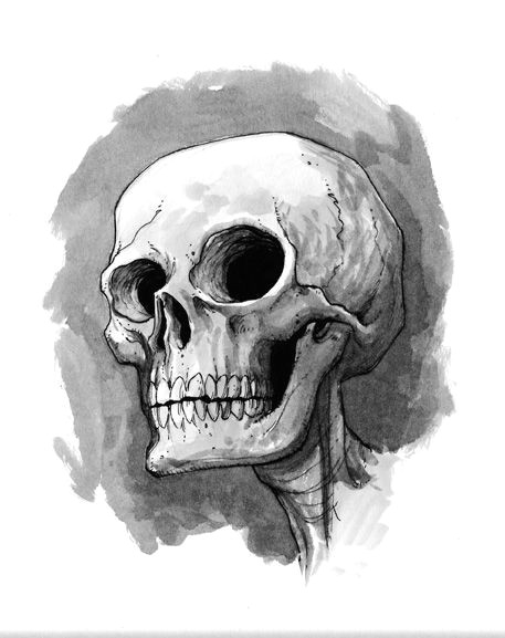 Drawing A Skull Head Cute Skull Illustration Skulls In 2019 Skull Sketch Drawings