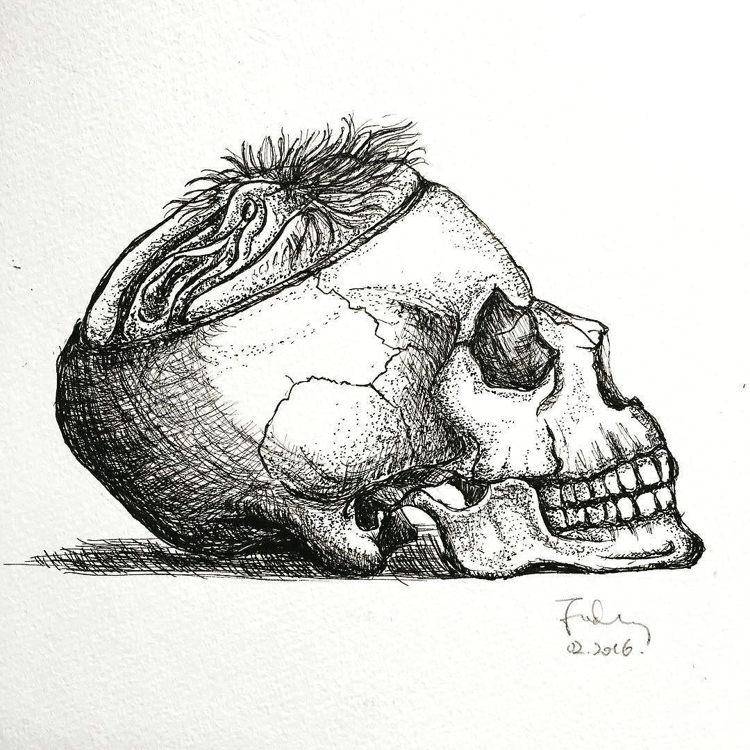 Drawing A Skull In Illustrator Art Artist Artgram Artwork Shunga Dailyart Design Ink
