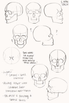 Drawing A Skull Tutorial Kingcholera Learning How to Construct Simplified Heads In the