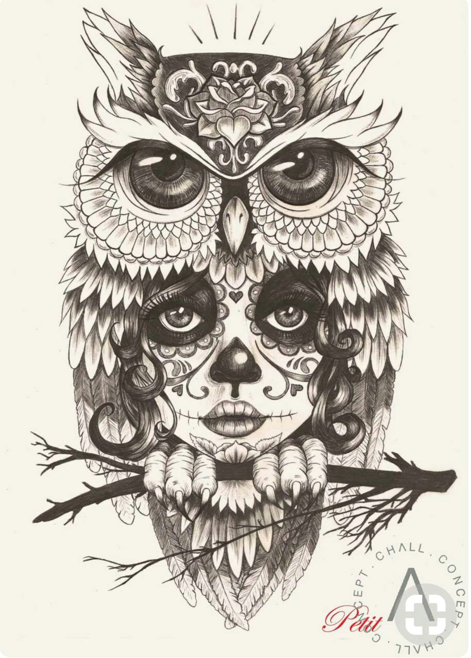Drawing A Skulls Skull Owl Wallpaper by Jokergirl29 0d Free On Zedgea
