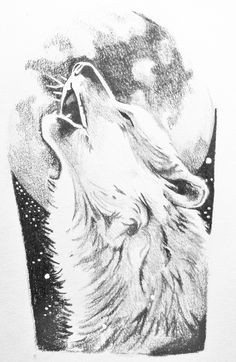 Drawing A Snarling Wolf 51 Best Wolf Drawings Images Wolf Drawings Tattoo Wolf Animal