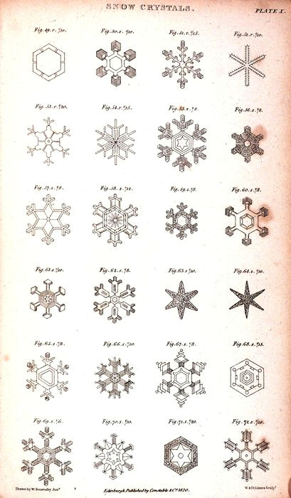 Drawing A Snowflake Beautiful Snowflakes Botanic Scientific Illustrations Snowflakes