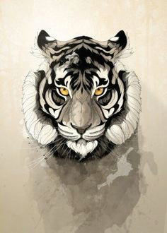 Drawing A Tiger Eye Die 54 Besten Bilder Von Ulli Art Drawings Drawing S Und Painting
