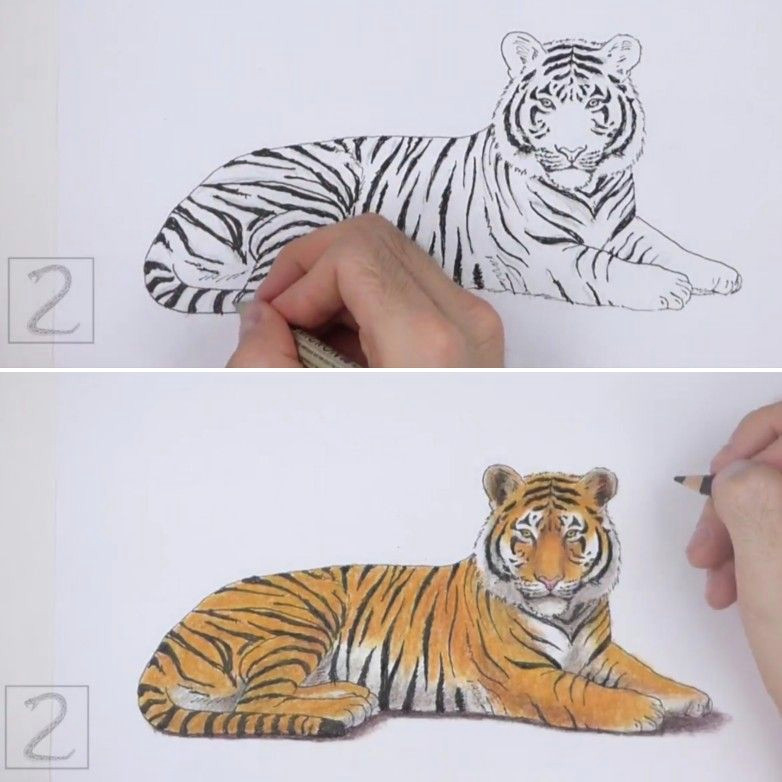 Drawing A Tiger Eye How to Draw A Tiger by How2drawanimals Howtodraw Animals Tiger