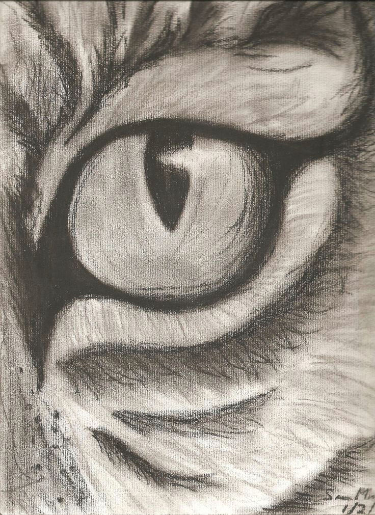 Drawing A Tiger Eye Pin by Spooky Goat On Art Museum Drawings Art Art Sketches