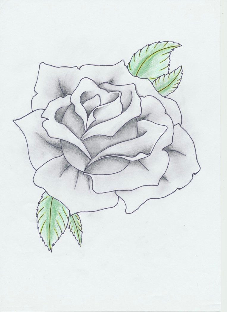 Drawing A Traditional Rose Black and Gray Rose Tattoo by Helldemondavey On Deviantart Flores