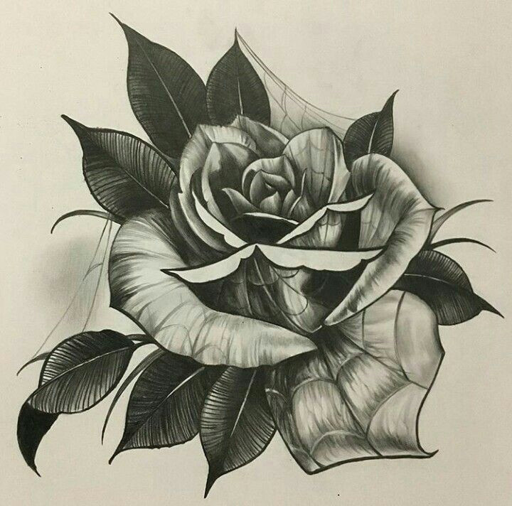Drawing A Traditional Rose Pin by Cristiano Silva On Pasta Tattoos Pinterest Chicano Art