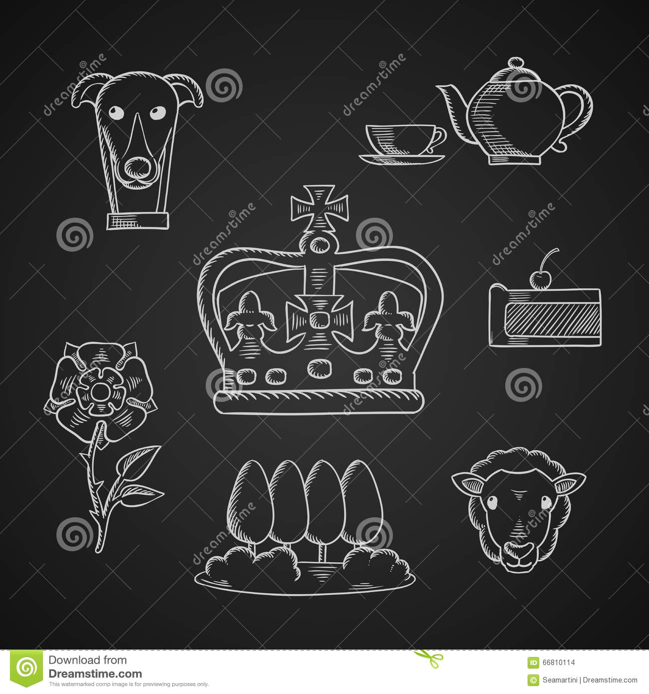 Drawing A Tudor Rose England Traditional Symbols and Icons Stock Vector Illustration Of