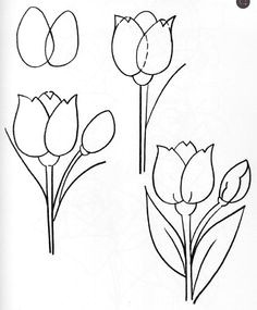 Drawing A Tulip Flowers 103 Best Sketch for Watercolour Images Drawing Flowers Flower