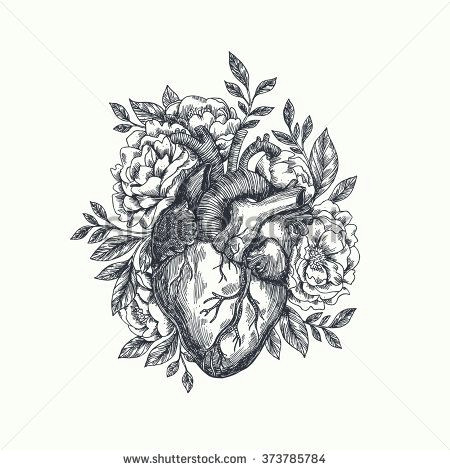 Drawing A Vector Heart Valentines Day Card Anatomical Heart with Flowers Vector