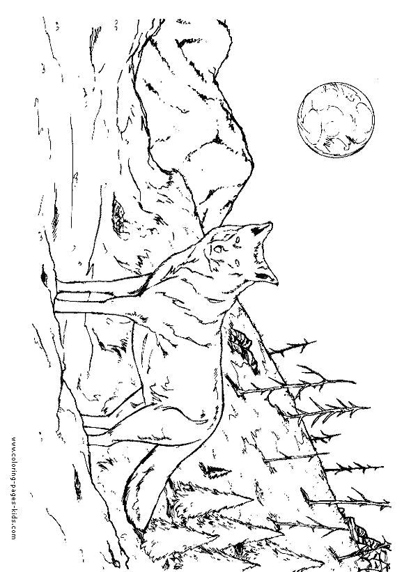 Drawing A Wolf Cub Cubs Coloring Pages Awesome Cool Coloring Page Unique Witch Coloring