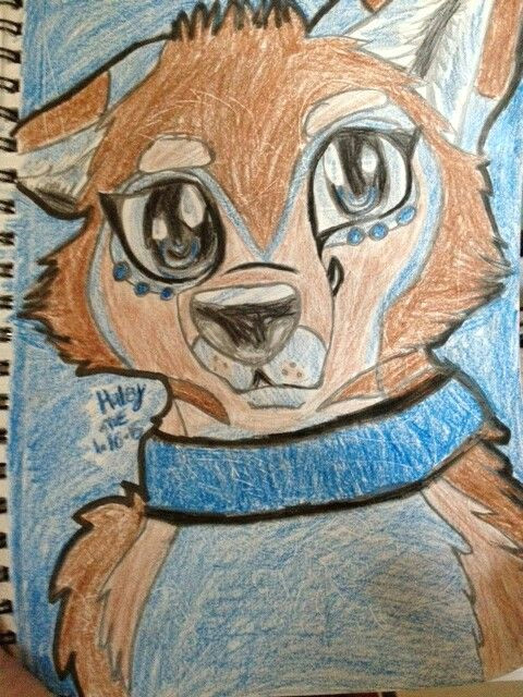Drawing A Wolf Cub My Drawing Of A Wolf Furry Of Mine Named Haley 3 Drawing Club