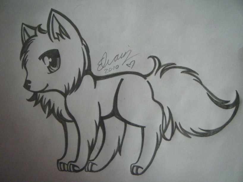 Drawing A Wolf Cute Wolf Drawing 1 by Animefan1863 Deviantart Com On Deviantart