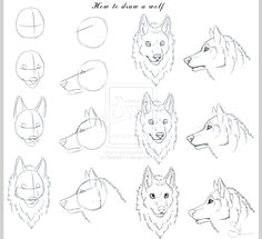 Drawing A Wolf Head Step by Step 75 Best Draw A Wolf Images Drawing Techniques Drawing Tutorials