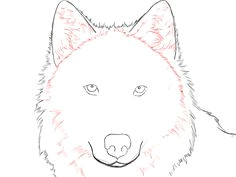 Drawing A Wolf Head Step by Step How to Draw A Wolf Face Google Search Wolves Drawings Art