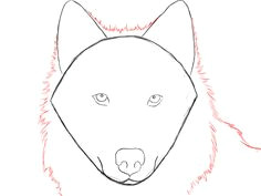 Drawing A Wolf Head Step by Step How to Draw A Wolf Face Google Search Wolves Drawings Art
