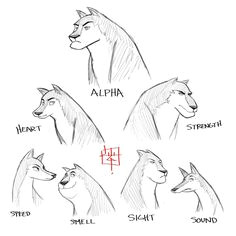 Drawing A Wolf Pack 25 Best Concept Sketches Images Drawings Sketches Draw
