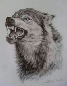 Drawing A Wolf Pack 777 Best All Things Alpha Wolf Pack Images In 2019 Wolf Tattoos