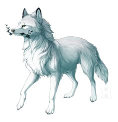 Drawing A Wolf Pack 87 Best Wolf Pack Images Animal Drawings Drawings Fantasy Wolf