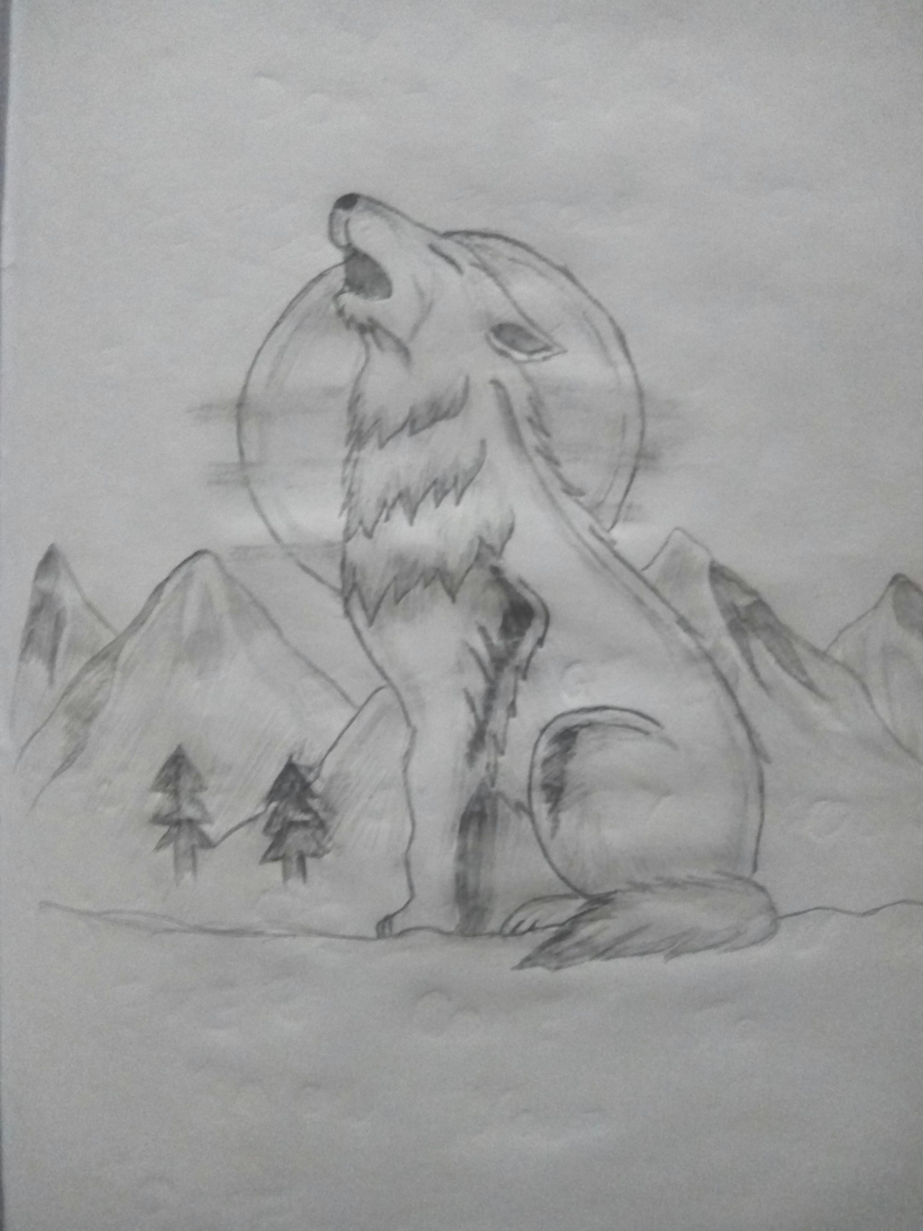 Drawing A Wolf Pack Lone Wolf My Drawings Pinterest My Drawings Drawings and Lone