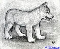 Drawing A Wolf Pup 10 Best Ideas for the House Images Drawings Ideas for Drawing Wolves