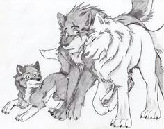 Drawing A Wolf Pup 69 Best Anime Wolves Images Drawings Wolves Amazing Drawings