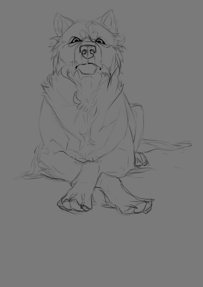 Drawing A Wolf Tutorial Hakim is so Much Fun to Draw Wolf Canine Art Pinterest