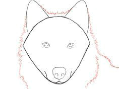 Drawing A Wolf Tutorial How to Draw A Wolf Face Google Search Wolves Drawings Art
