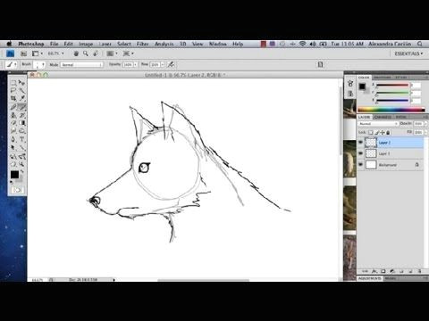 Drawing A Wolf Youtube How to Draw A Wolf In Photoshop Photoshop Tutorials Youtube