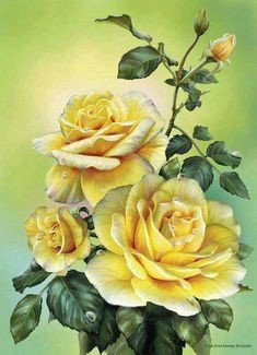 Drawing A Yellow Rose 812 Best Rose Garden Images In 2019 Beautiful Flowers Pink