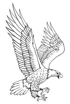 Drawing An Eagle Eye 122 Best Digital Eagle Images Coloring Pages Coloring Pages for