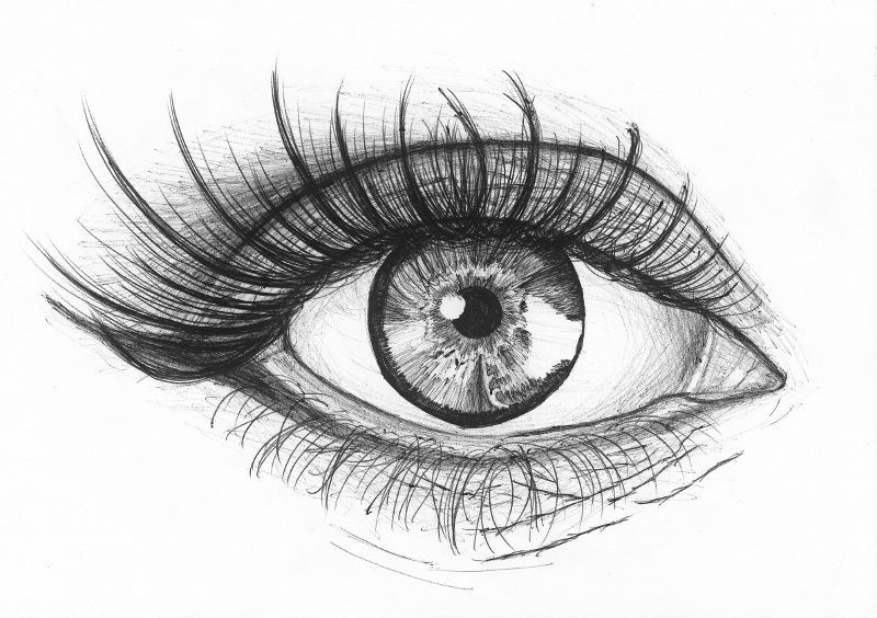 Drawing An Eye In Illustrator Eye by Billie Juniper Waugh Billie Juniper Waugh Pinterest