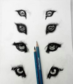 Drawing An Eye In Pastel Tiger In Pastel Realism Reference Pinterest Pastels