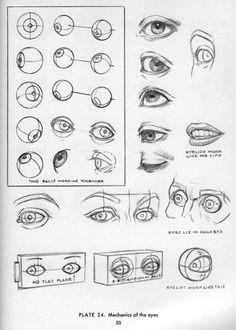 Drawing An Eye Lesson Plan 200 Best Lesson Ideas Images On Pinterest Art for Kids Activities