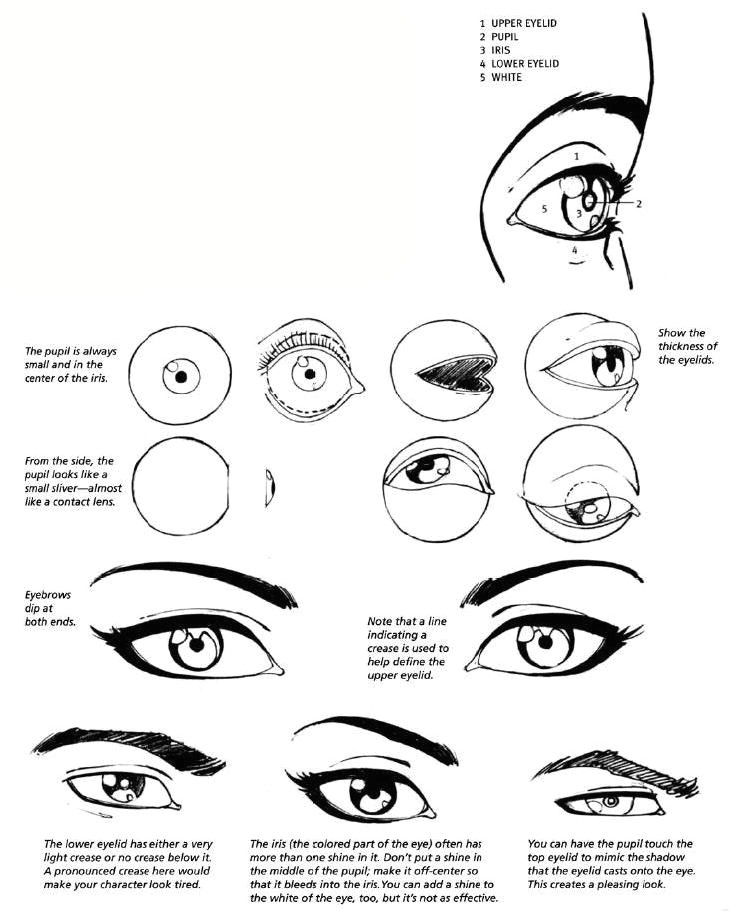 Drawing An Eye Lesson Plan Eye Drawing Step by Step at Getdrawings Com Free for