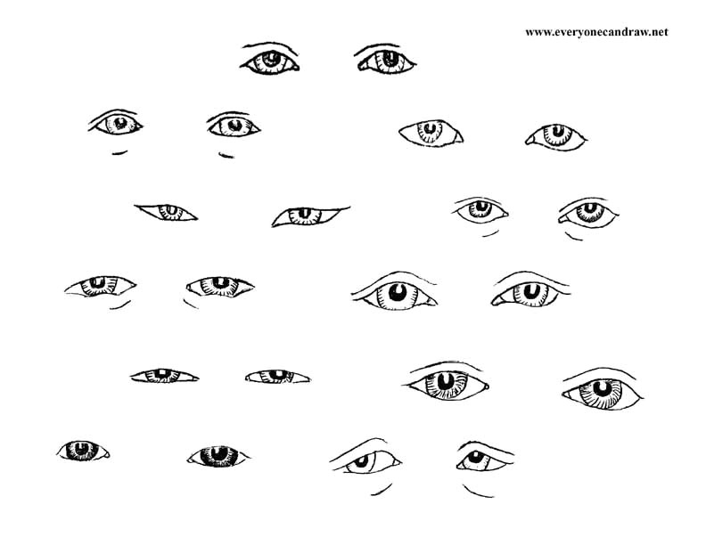 Drawing An Eye Lesson Plan Portrait Drawings Step by Step Instructions