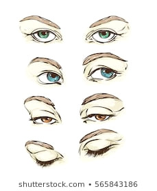 Drawing An Eye with Makeup On Hand Hand Drawn Womens Eyes Vintage Vector Stock Vector Royalty Free