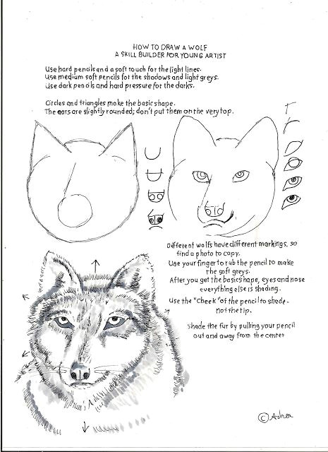 Drawing An Eye Worksheet How to Draw Worksheets for the Young Artist How to Draw A Wolf A