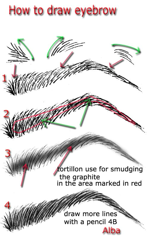 Drawing An Eyebrow How to Fill In Your Eyebrows Like A Pro People Fashion Drawing