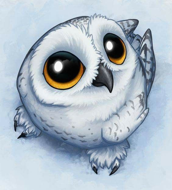 Drawing An Owl Eye Pin by Sheila norfus On Owl Art Pinterest Owl Owl Art and Snowy Owl