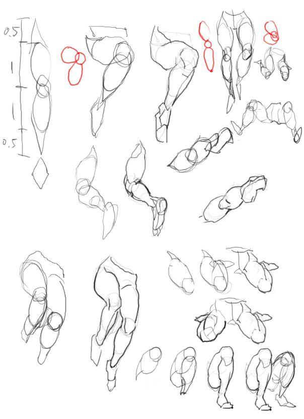 Drawing Anatomy Tumblr Detectivedeathmachine Potassium Iodide I M Sure This is On Tumblr