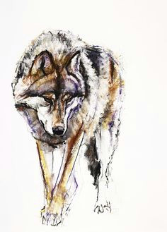 Drawing and Painting A Wolf 109 Best Wolf Images Wolf Drawings Art Drawings Draw Animals