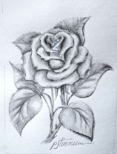 Drawing and Shading A Rose 136 Best Rose Drawings Images Painting Drawing Painting On