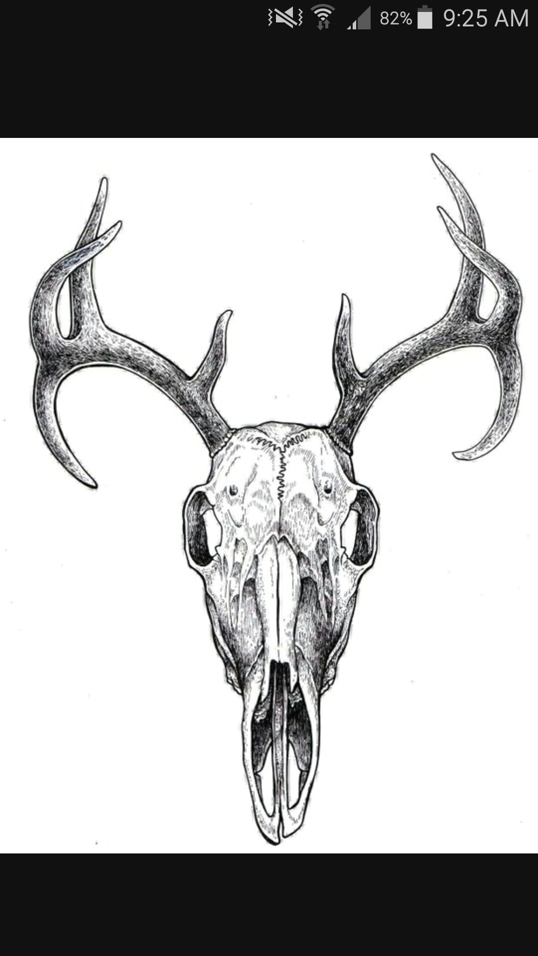 Drawing Animal Skulls Pin by Moriah Black On Ideas for Mo Pinterest Tattoos Deer
