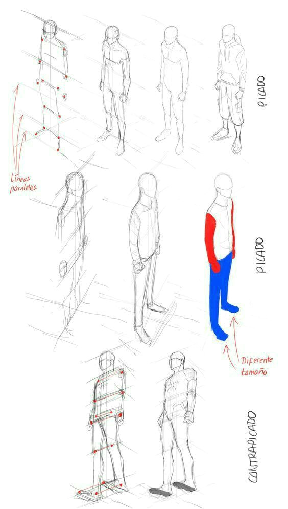 Drawing Anime Body Proportions Pin by David Castro solino On A A A A Pinterest Manga