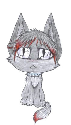 Drawing Anime Cats 11 Best Anime Cats Images Anime Cat Kawaii Cat Kawaii Drawings